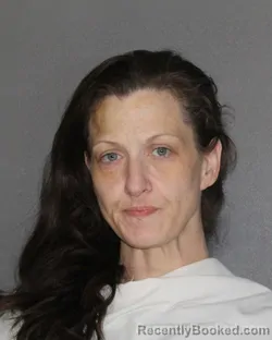 Mugshot of MARY BESS TIDWELL booked in Ellis County, Texas on June 17, 2026