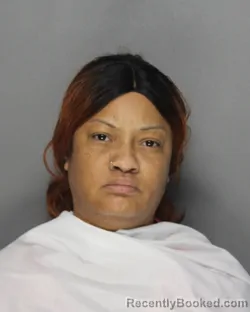 Mugshot of LATEEFAH ZAHRAH AISHA STEPHENS booked in Ellis County, Texas on June 22, 2026