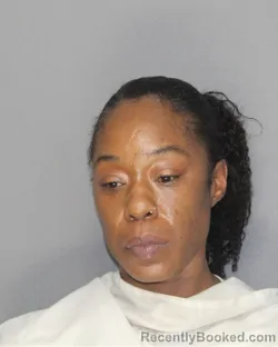 Mugshot of LADONNA KATRICE PALMER booked in Ellis County, Texas on June 23, 2026
