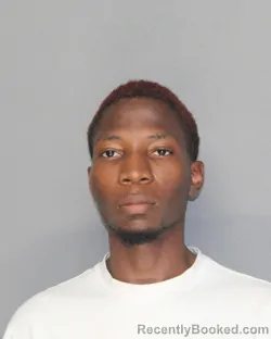 Mugshot of MARVELLOUS OGUNDARE booked in Ellis County, Texas on June 23, 2026