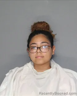 Mugshot of BRANDY ALICIA ENNIS booked in Ellis County, Texas on June 24, 2026