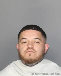 Mugshot of CESAR GARCIA CASTRO booked in Ellis County, Texas on June 24, 2026