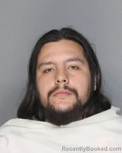 Mugshot of JORDAN PAYNE SANCHEZ booked in Ellis County, Texas on June 25, 2026