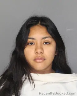 Mugshot of GISSELLE MARIN booked in Ellis County, Texas on June 26, 2026