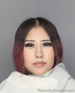 Mugshot of ANGELES SALAZAR booked in Ellis County, Texas on June 26, 2026