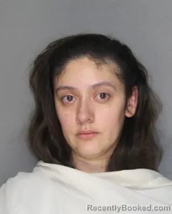 Mugshot of JULISSA GOMEZ booked in Ellis County, Texas on June 27, 2026