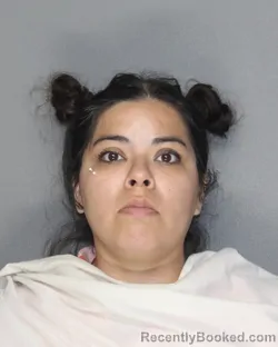 Mugshot of RUBY REYES booked in Ellis County, Texas on June 27, 2026
