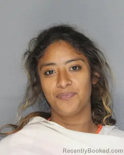 Mugshot of MARLENE MARIELIS HENRIQUEZ booked in Ellis County, Texas on June 27, 2026