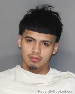 Mugshot of JAYDEN HERNANDEZ booked in Ellis County, Texas on June 28, 2026
