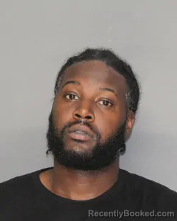 Mugshot of JAMEEL LEDELL MCFARLAND booked in Ellis County, Texas on June 29, 2026