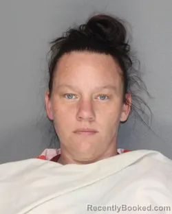 Mugshot of BRANDY NICOLE NELSON booked in Ellis County, Texas on June 30, 2026