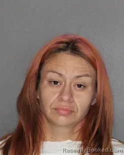 Mugshot of TABITHA EILEEN MILLER booked in Ellis County, Texas on July 1, 2026