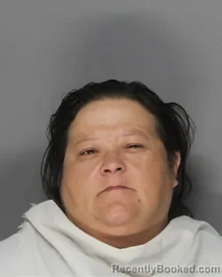 Mugshot of TERESA LYNN YBARRA booked in Ellis County, Texas on July 1, 2026
