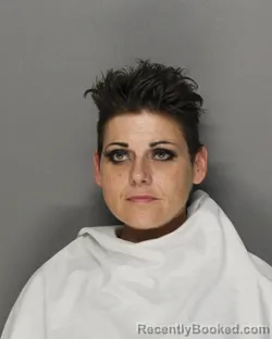 Mugshot of ROBIN RENAE PRYOR GIBSON booked in Ellis County, Texas on July 3, 2026