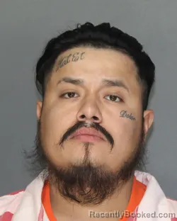 Mugshot of HECTOR III VELASQUEZ III booked in Ellis County, Texas on July 3, 2026