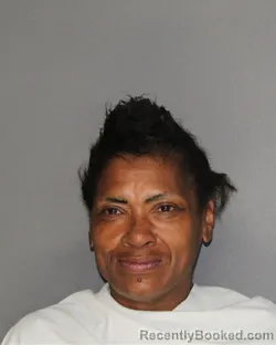 Mugshot of RHONDA KAYE MANUEL booked in Ellis County, Texas on July 3, 2026