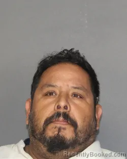 Mugshot of RAMON JR VERGARA booked in Ellis County, Texas on July 5, 2026