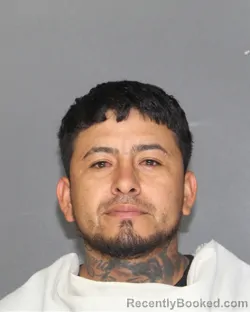 Mugshot of ROMERO TOMAR ALVAREZ booked in Ellis County, Texas on July 5, 2026