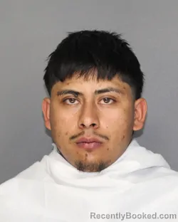 Mugshot of DAVID ALEJANDRO ROJAS-GONZALES booked in Ellis County, Texas on July 7, 2026