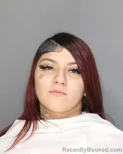 Mugshot of ISIDRA FLOR TRISTAN booked in Ellis County, Texas on July 10, 2026