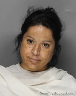 Mugshot of CELESTINA MUNOZ EDWARDS booked in Ellis County, Texas on July 11, 2026