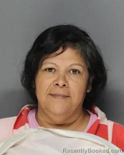 Mugshot of ERICA CISNEROS booked in Ellis County, Texas on July 12, 2026