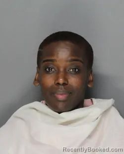 Mugshot of BRITANIE LASHAE GIBSON booked in Ellis County, Texas on July 12, 2026