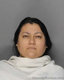 Mugshot of YULIETH ANDREA LOPEZ PEREZ booked in Ellis County, Texas on July 14, 2026