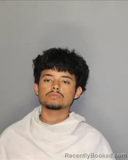 Mugshot of ANTHONY NOE ALVARADO booked in Ellis County, Texas on July 15, 2026