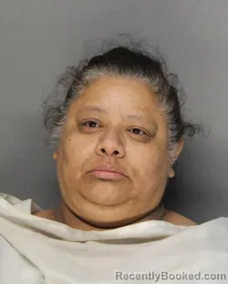 Mugshot of SANDRA MARIA SANCHEZ booked in Ellis County, Texas on July 15, 2026