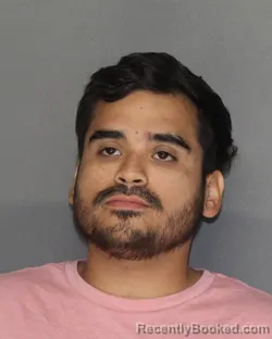 Mugshot of JONATHAN JACOB PEREZ booked in Ellis County, Texas on July 15, 2026