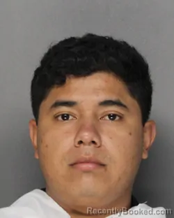 Mugshot of TAIRON JOSUE RIVAS-MERCADO booked in Ellis County, Texas on August 3, 2026