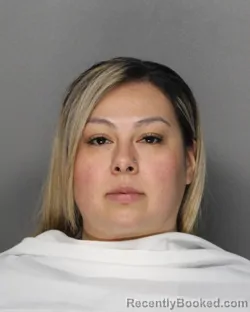 Mugshot of IRMA ISELA TORRES booked in Ellis County, Texas on August 4, 2026