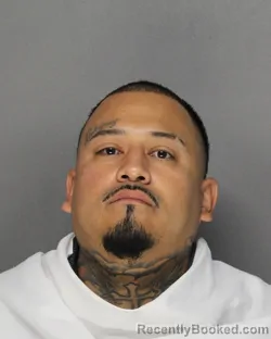 Mugshot of JULIO ARELLANO booked in Ellis County, Texas on August 4, 2026