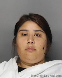 Mugshot of DENISE PUENTE booked in Ellis County, Texas on August 4, 2026