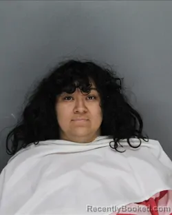 Mugshot of KATHYANA ALEXANDRA MORENO booked in Ellis County, Texas on August 6, 2026