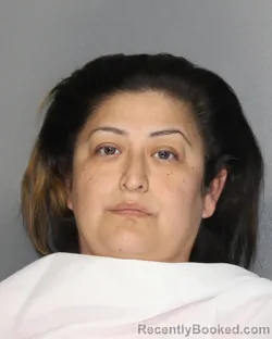 Mugshot of Bianca Nohemi Rios booked in Ellis County, Texas on August 18, 2026