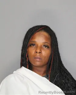 Mugshot of Brittney Jacole Jones booked in Ellis County, Texas on August 18, 2026