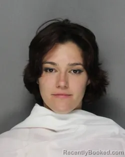 Mugshot of Trinity Zeta Holleman booked in Ellis County, Texas on August 20, 2026