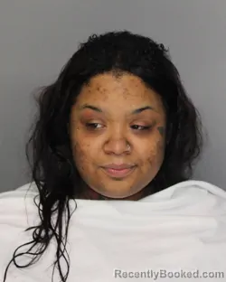 Mugshot of Anelia Marshaye Mccowan booked in Ellis County, Texas on August 20, 2026