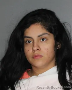 Mugshot of Ashley Krystal Carrillo booked in Ellis County, Texas on August 20, 2026