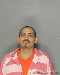 Mugshot of Jorge David Guerra booked in Ellis County, Texas on August 21, 2026