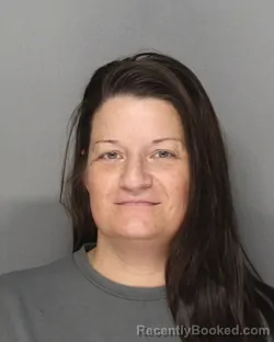 Mugshot of Meredith Ann Williams booked in Ellis County, Texas on August 21, 2026