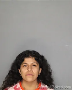 Mugshot of Erika Yesenia Magana booked in Ellis County, Texas on August 24, 2026