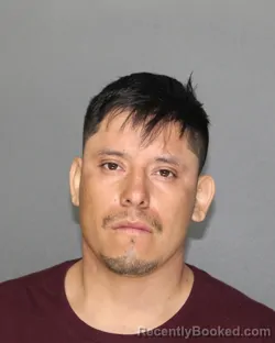 Mugshot of Flavio Alonso-Sanchez booked in Ellis County, Texas on August 24, 2026