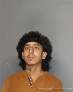 Mugshot of Juan Jesus Hernandez Limon booked in Ellis County, Texas on August 24, 2026