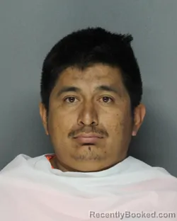 Mugshot of Rodolfo Santiago Mendoza booked in Ellis County, Texas on August 26, 2026
