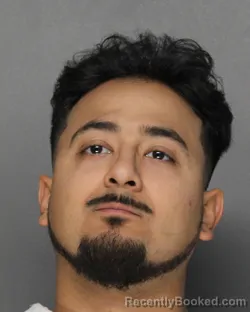 Mugshot of Nathan Ramirez booked in Ellis County, Texas on August 27, 2026
