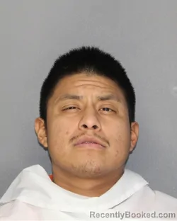 Mugshot of Manuel Duran Ramirez booked in Ellis County, Texas on August 27, 2026