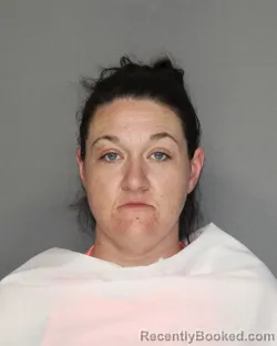 Mugshot of Sara Loraine Robinson booked in Ellis County, Texas on August 31, 2026